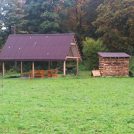 Dolina Rosy Villa Ustrzyki Dolne Buitenkant foto