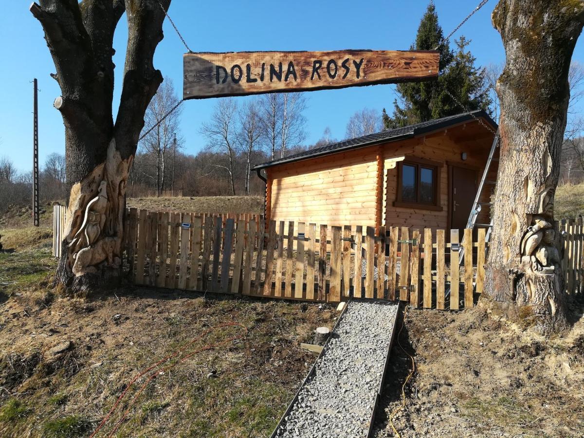 Dolina Rosy Villa Ustrzyki Dolne Buitenkant foto