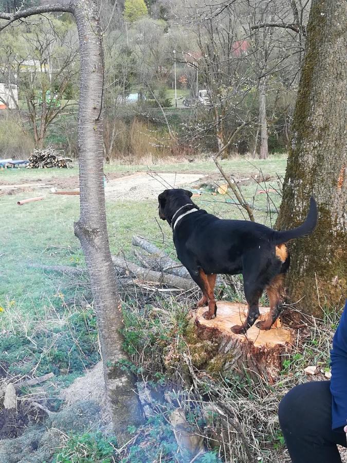 Dolina Rosy Villa Ustrzyki Dolne Buitenkant foto