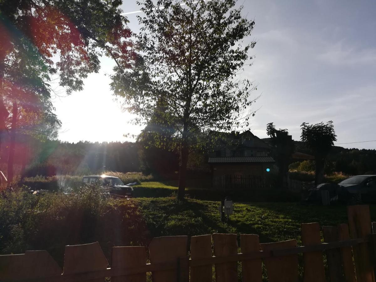 Dolina Rosy Villa Ustrzyki Dolne Buitenkant foto