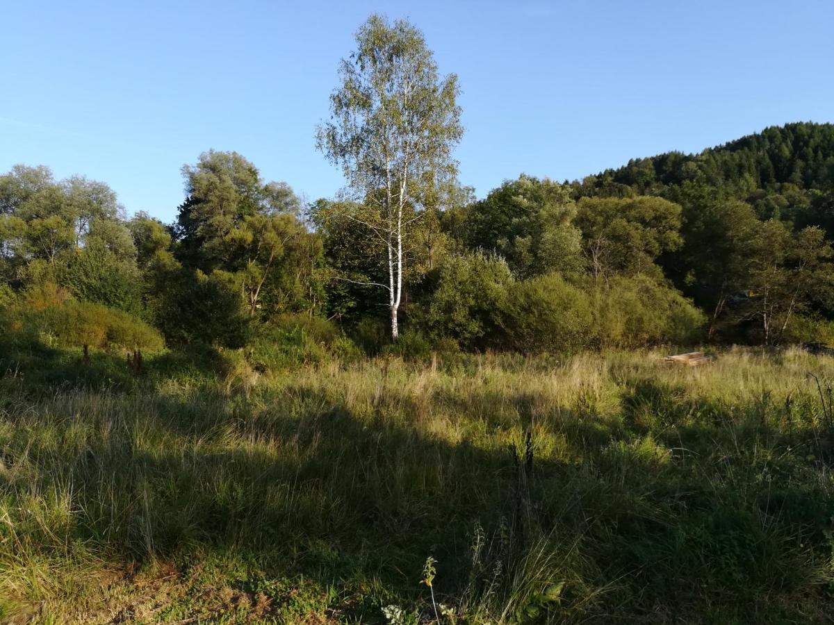 Dolina Rosy Villa Ustrzyki Dolne Buitenkant foto