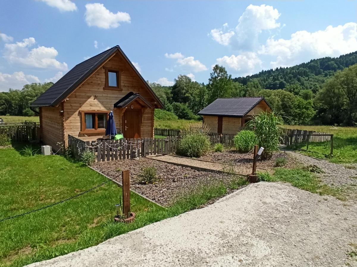 Dolina Rosy Villa Ustrzyki Dolne Buitenkant foto