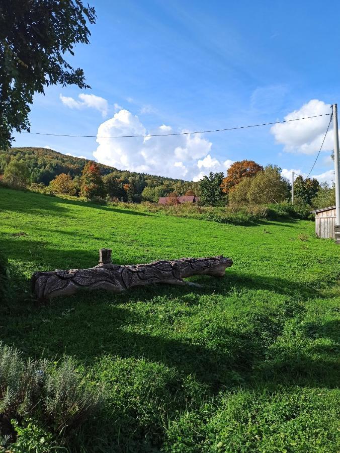Dolina Rosy Villa Ustrzyki Dolne Buitenkant foto