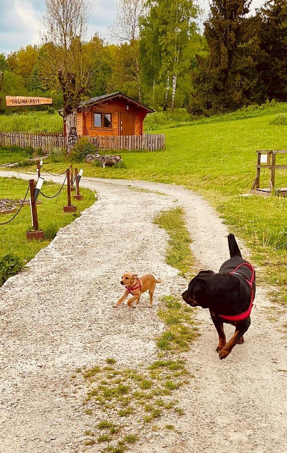 Dolina Rosy Villa Ustrzyki Dolne Buitenkant foto