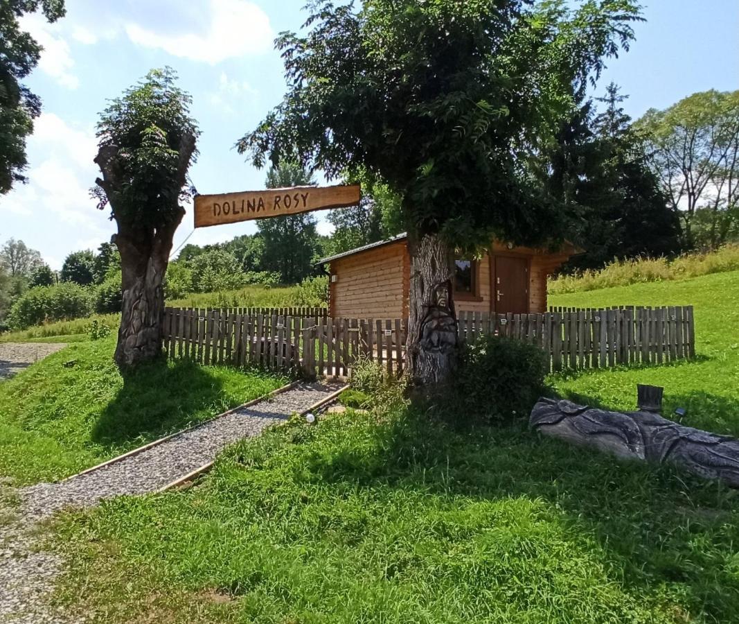 Dolina Rosy Villa Ustrzyki Dolne Buitenkant foto