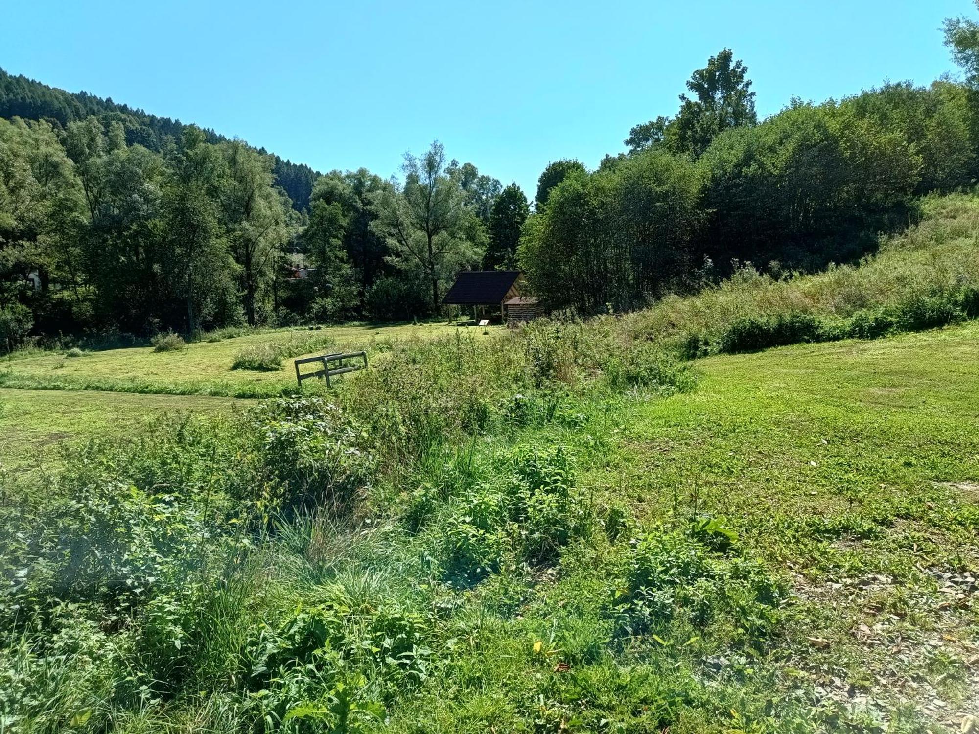 Dolina Rosy Villa Ustrzyki Dolne Buitenkant foto